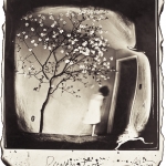 Michael Donnor, Dreaming Tree