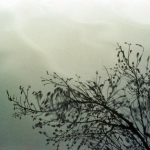 Laura Alice Watt
