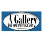 A Gallery for Fine Photography