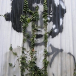 Linda Troeller
