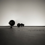 Mark Renz