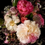 Phyllis Rose