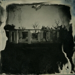 S. Gayle Stevens