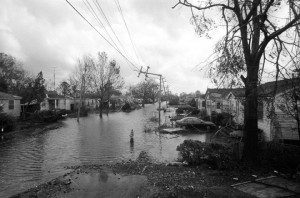Flood Street 2 by Andy Levin