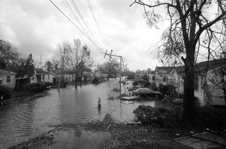 Flood Street 2 by Andy Levin