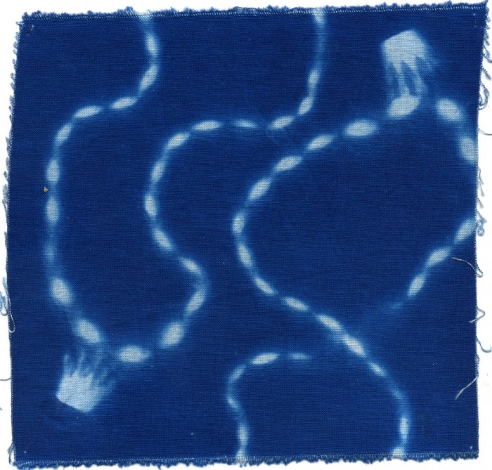 Cyanotype on fabric by Cayte Cantrell