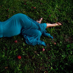 Cig Harvey - Fallen Apples