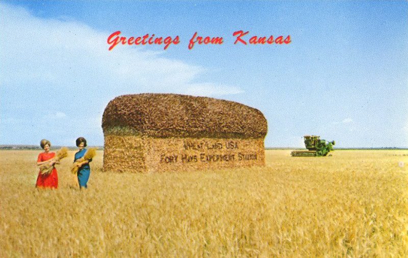 vintage postcard - greetings from kansas