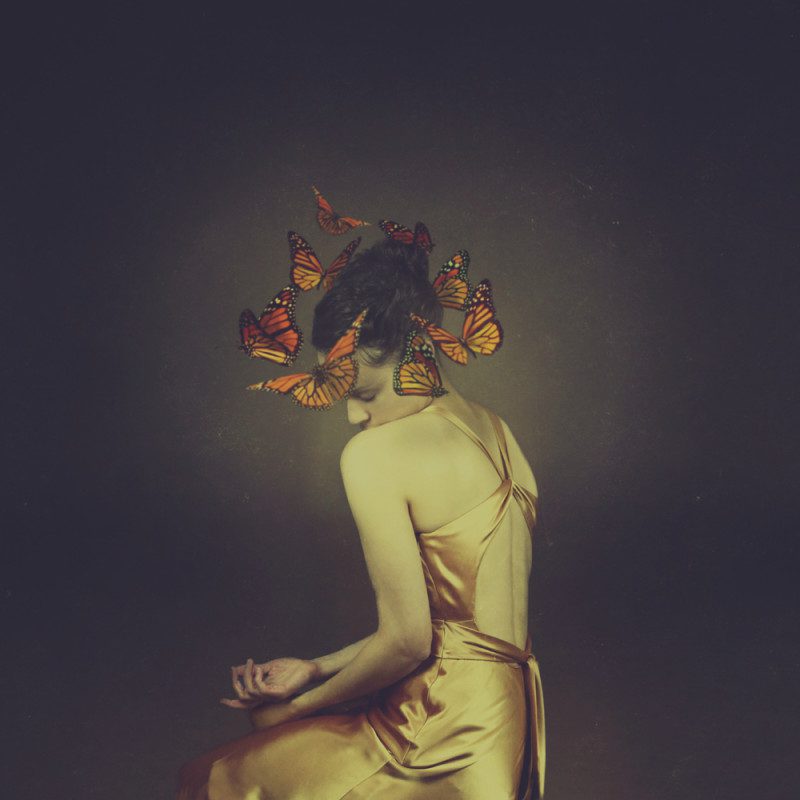 Josephine Cardin - From the Same Cocoon