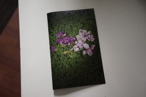 Tammy Mercure_flowerbook