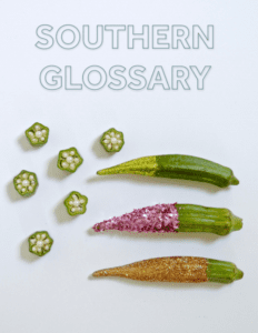 southern-glossary