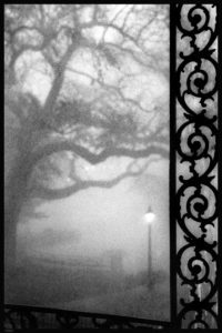 Louis Sahuc: Rain & Fog - Photo Works New Orleans