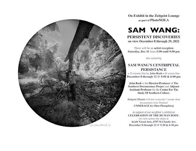 Sam Wang - Sam Wang Persistent Discoveries