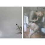 Sandi Haber Fifield - White Sun, 2011 05-sandihaberfifield_white-sun201172