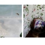 Sandi Haber Fifield - Pained Smile, 2012 08-sandihaberfifield_pained-smile201272