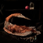 Sarah Cusimano Miles - Goliath Heron 3-cusimano-miles_sarah_goliath-heron72