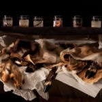 Sarah Cusimano Miles - Red Deer 4-cusimano-miles_sarah_red-deer72