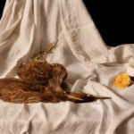 Sarah Cusimano Miles - American Bitterns 6-cusimano-miles_sarah_american-bitterns72