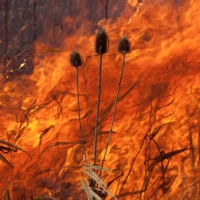 <a href="http://www.janefultonalt.com/" target="_blank">Jane Fulton Alt</a> Jane Fulton Alt