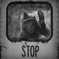 <a href="http://www.anneberrystudio.com" target="_blank">Anne Berry</a> Anne Berry