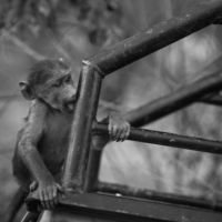 <a href="http://www.besstphoto.com/" target="_blank">Tatyana Bessmertnaya</a> Tatyana Bessmertnaya