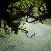 <a href=”http://www.melissabormanvisualart.com/" target="_blank">Melissa Borman</a> Melissa Borman