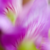 Judy Bryan Judy Bryan