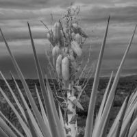 <a href="http://www.tcphotographystudio.net" target="_blank">Edward Carter</a> Edward Carter