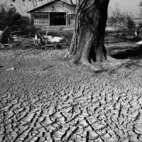 <a href="http://www.tedcullenphotoart.com" target="_blank">Ted Cullen</a> Ted Cullen