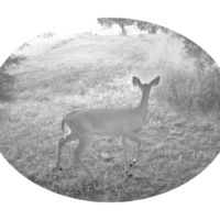 <a href="http://www.postmedium.org/leedeigaard" target="_blank">Lee Deigaard</a> Lee Deigaard