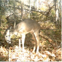 <a href="http://www.leedeigaard.com" target="_blank">Lee Deigaard</a> Lee Deigaard