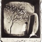 Michael Donnor, Dreaming Tree Michael Donnor, Dreaming Tree
