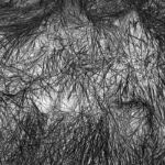 Elizabeth Stone - Grass Tracks 3 Elizabeth Stone - Grass Tracks 3