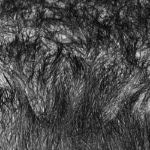 Elizabeth Stone - Grass Tracks 4 Elizabeth Stone - Grass Tracks 4