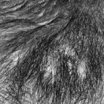 Elizabeth Stone - Grass Tracks 5 Elizabeth Stone - Grass Tracks 5