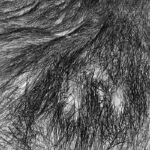Elizabeth Stone - Grass Tracks 5
