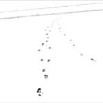 Elizabeth Stone - Snow Tracks 7