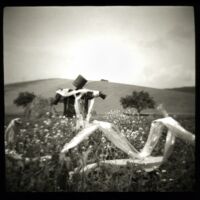 Annette Fournet
