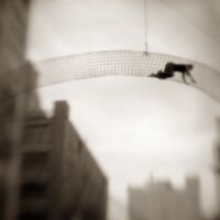 Bryan David Griffith