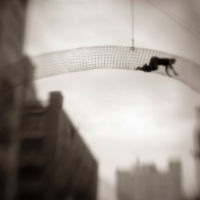 <a href="http://bryandavidgriffith.com/" target="_blank">Bryan David Griffith</a> Bryan David Griffith