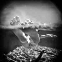 <a href="http://www.susanguice.com" target="_blank">Susan Guice</a> Susan Guice