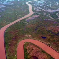 <a href="http://Guicegallery.com/" target="_blank">Susan Guice</a> Susan Guice