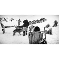 <a href="http://clydeheppner.com" target="_blank">Clyde Heppner</a> Clyde Heppner