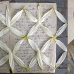 Priya Kambli - Muma (Dear Suresh) kambli_priya_muma-dear-suresh72