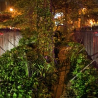 <a href="http://EileenKeator.com/" target="_blank">Eileen Keator</a> Eileen Keator