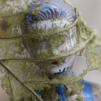 <a href="http://www.susankeiserphotography.com" target="_blank">Susan Keiser</a> Susan Keiser