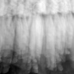 Jungeun Lee: I Would Rather Die 3 Jungeun Lee: I Would Rather Die 3