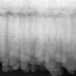 Jungeun Lee: I Would Rather Die 4 Jungeun Lee: I Would Rather Die 4