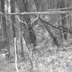 Lee Deigaard - Atlas Lee Deigaard - Atlas