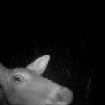 Lee Deigaard - At The Surface Lee Deigaard - At The Surface